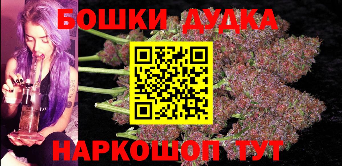 Бошки Шишки планчик Северск